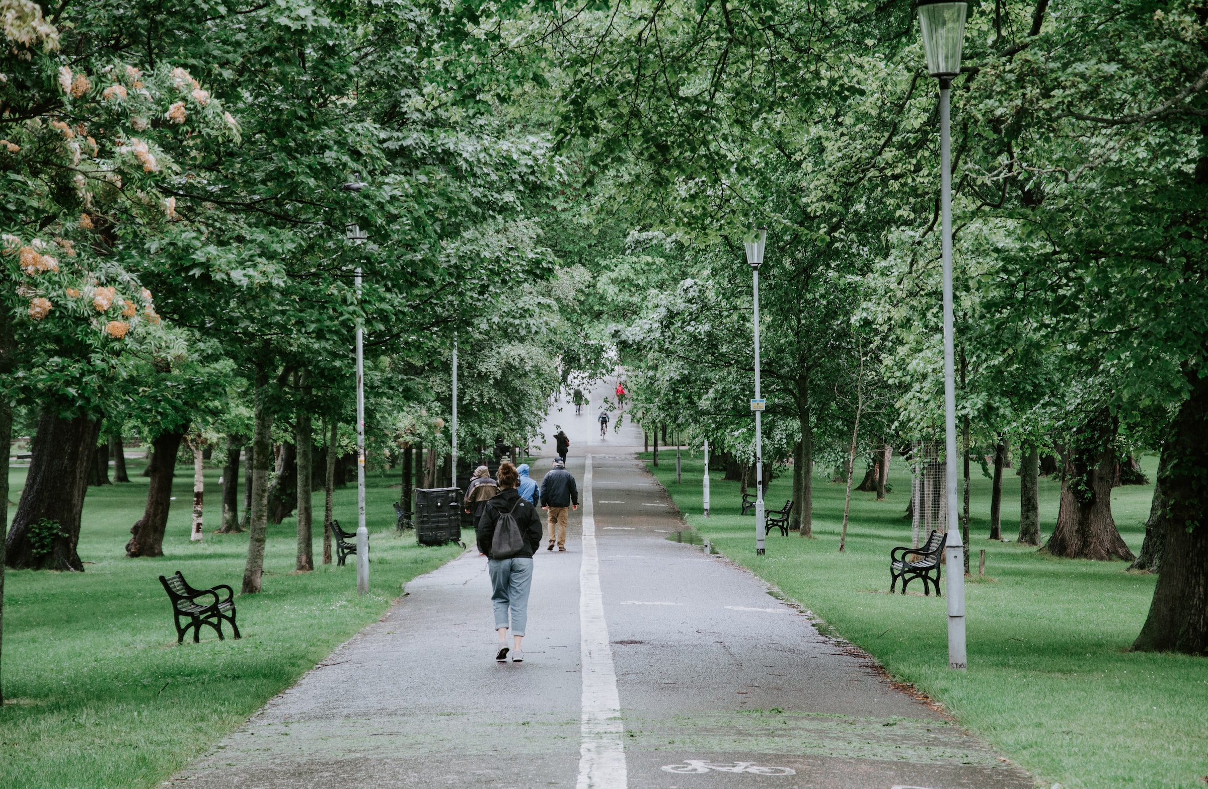 Walk in the park - Photo by Adli Wahid on Unsplash